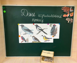 Всемирный день кормления птиц Всемирный день кормления птиц.
