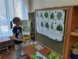 Международный день леса Международный день леса.