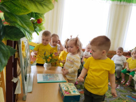 Всемирны день одуванчика Всемирны день одуванчика.